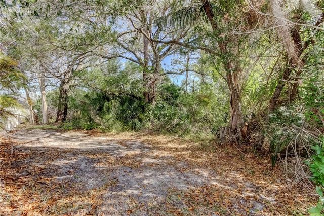 11403 QUIET FOREST DRIVE, Tampa, FL 33635