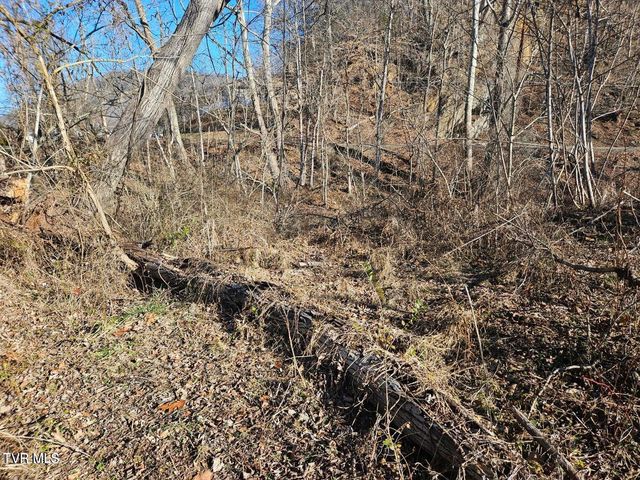 Tbd South Hamblen Street, Big Stone Gap, VA 24219