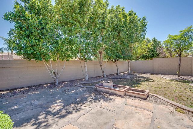1315 W Musket Way, Chandler, AZ 85286