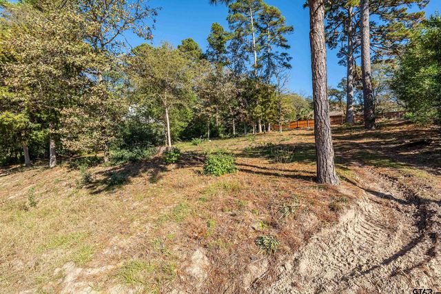 425 Hideaway Central Ln, Hideaway, TX 75771