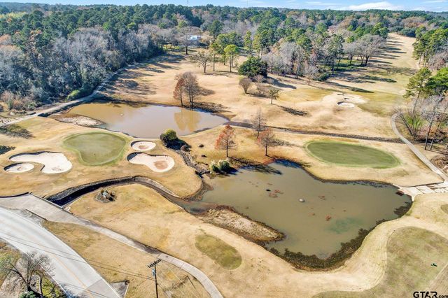 425 Hideaway Central Ln, Hideaway, TX 75771