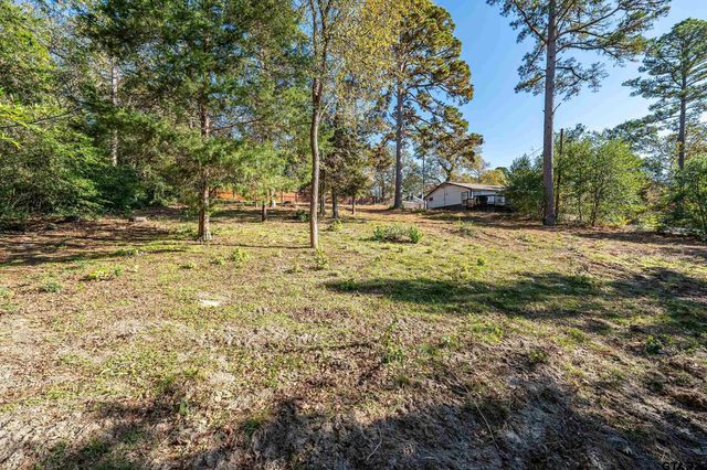 425 Hideaway Central Ln, Hideaway, TX 75771