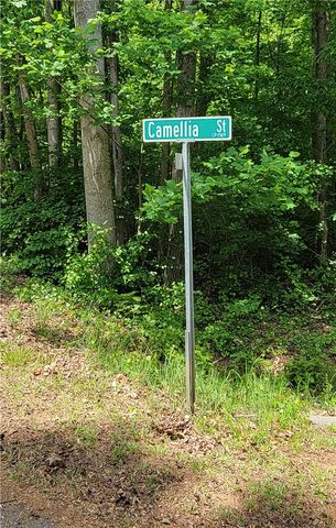 00 Camellia Street, Westminster, SC 29693
