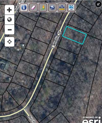 00 Camellia Street, Westminster, SC 29693