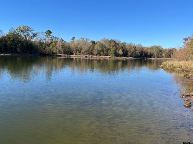 373 CR 2724, Mineola, TX 75773