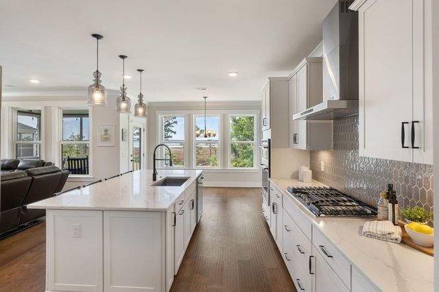 523 Spring Hollow Drive, Charleston, SC 29492