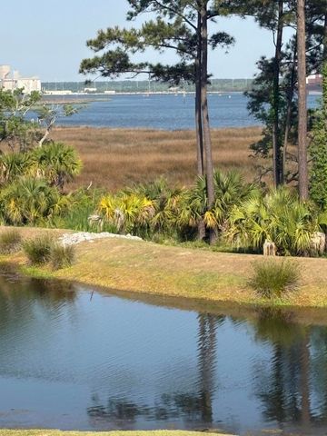 523 Spring Hollow Drive, Charleston, SC 29492