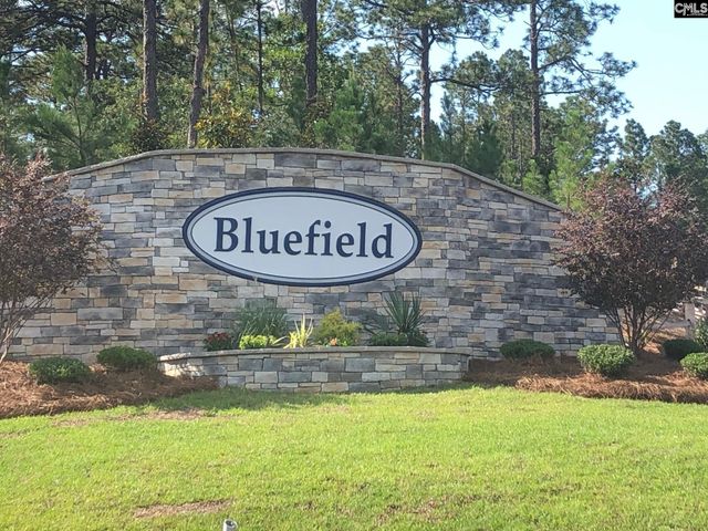 3522 Stedding Place, Lexington, SC 29073