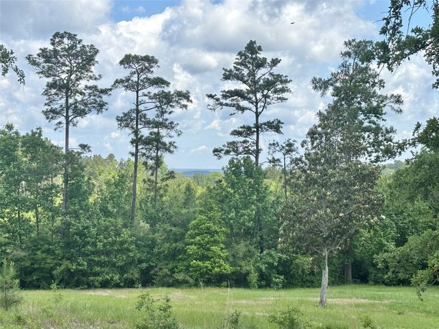 4647 Recreational Road 255, Colmesneil, TX 75938