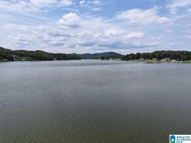 26 SUNSET COVE, Ohatchee, AL 36271