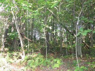 Lot228R Shearsburg Rd, Allegheny Twp, PA 15068