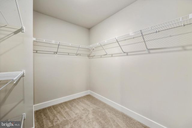 226 MUNSEE, Winchester, VA 22602