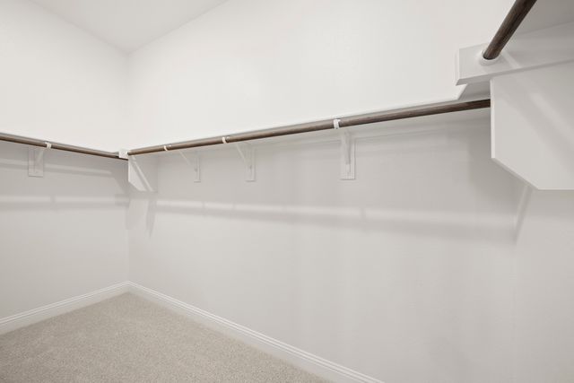 309 Bee Balm Rd, Mckinney, TX 75071