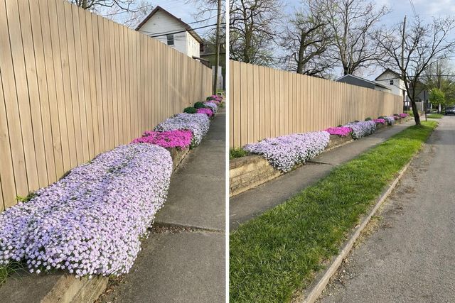 363 E Morrill Avenue, Columbus, OH 43207