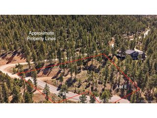 6875 Lynx Lair Rd, Evergreen, CO 80439