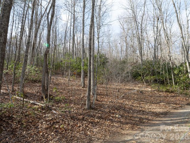 0 Murphy Branch Road, Burnsville, NC 28714