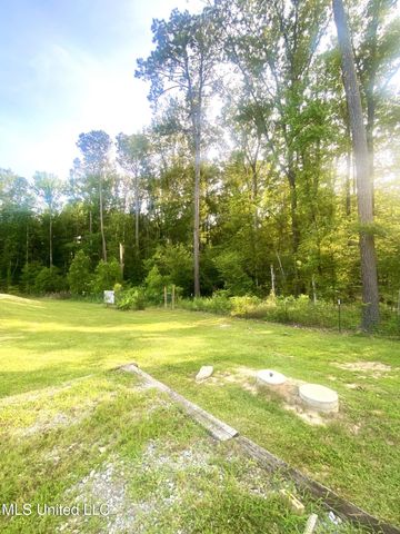 115 Pinedale Road, Terry, MS 39170