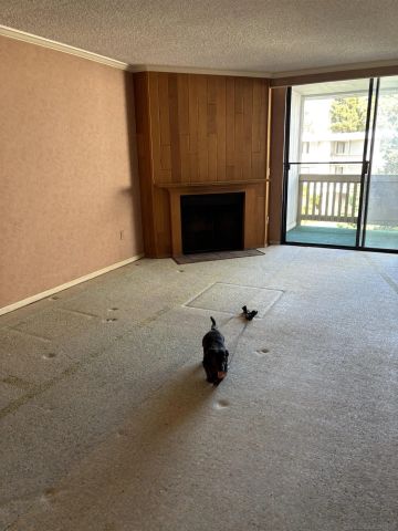 3098 Rue DOrleans 315, San Diego, CA 92110