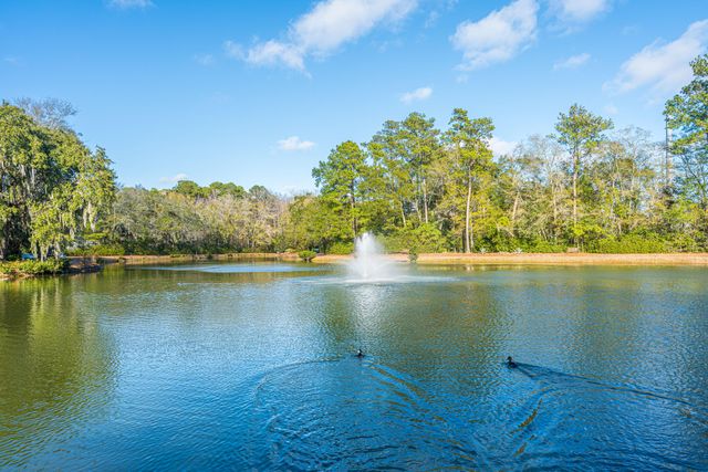 1575 Blaze Lane, Charleston, SC 29412