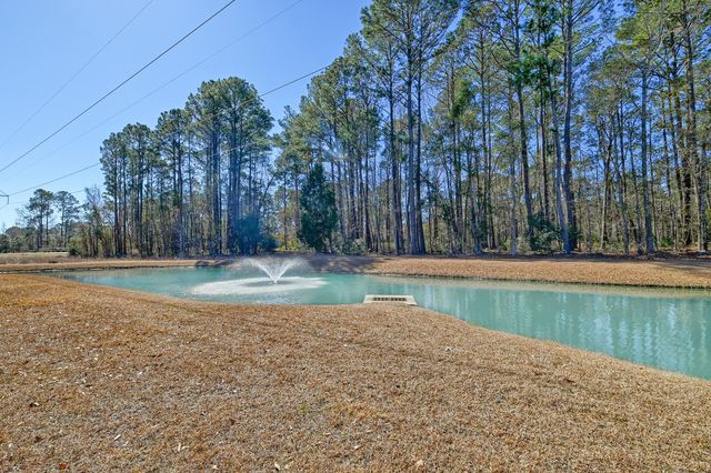 1807 Chauncys Court, Mount Pleasant, SC 29466