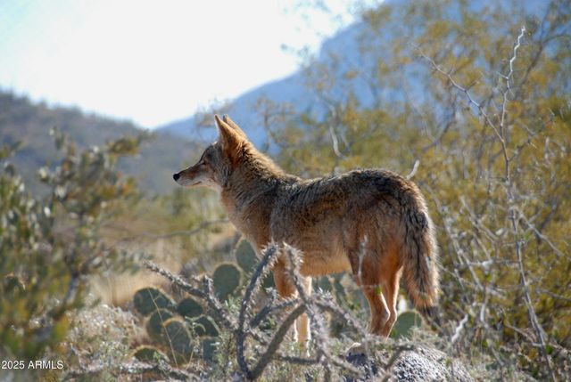 40445 N 32ND Street, Cave Creek, AZ 85331