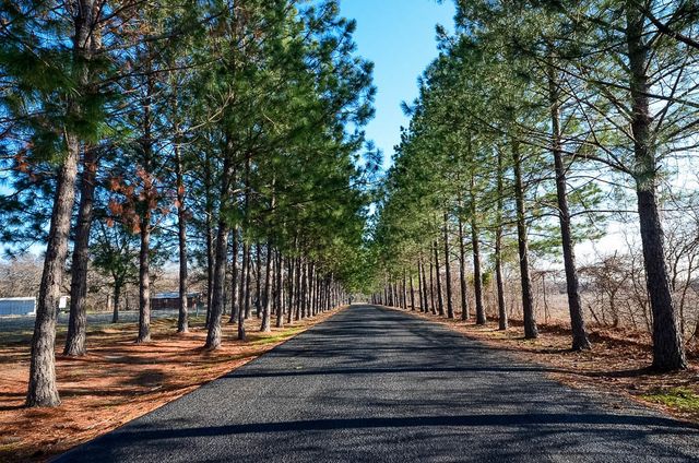 Lot 132 Lincoln Drive, Streetman, TX 75859