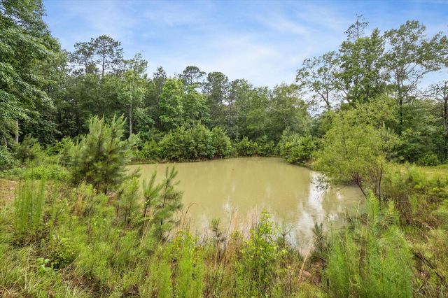 5050 Fm 222 Loop S, Coldspring, TX 77331