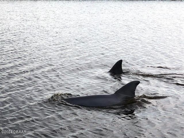 2828 N ATLANTIC AVENUE 604, Daytona Beach, FL 32118