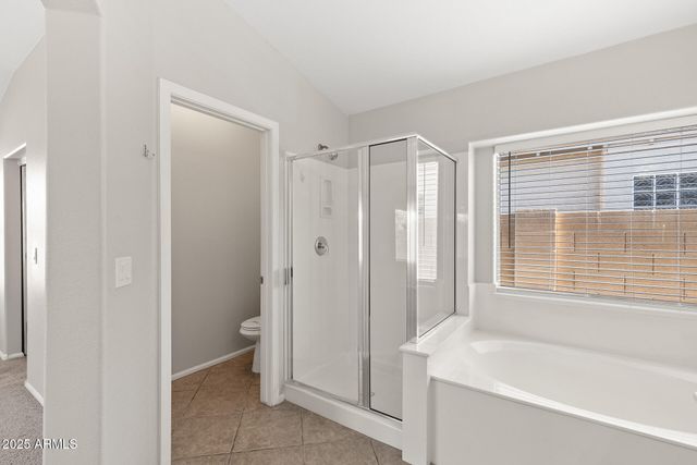 42012 W COLBY Drive, Maricopa, AZ 85138