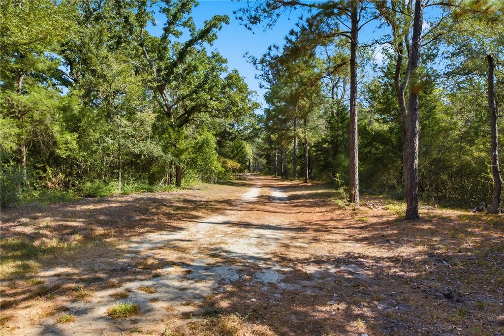 12380 Post Oak Lane, Bryan, TX 77807 — photo 3