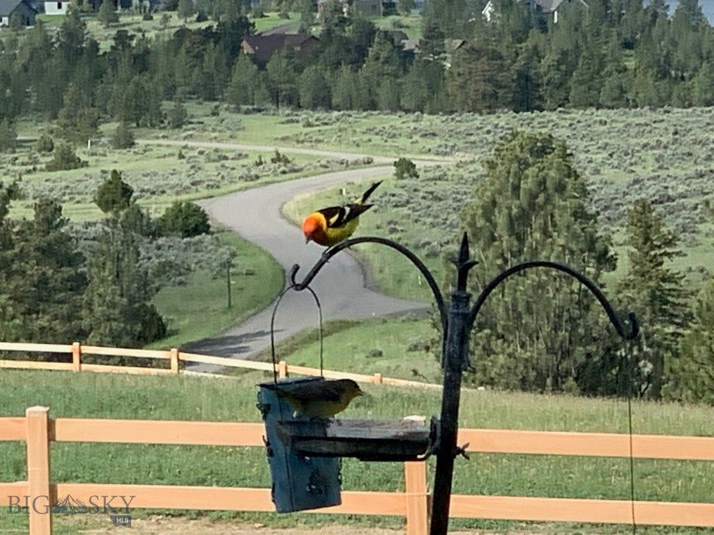 4220 Sunset Ridge Drive, Helena, MT 59602 photo 44