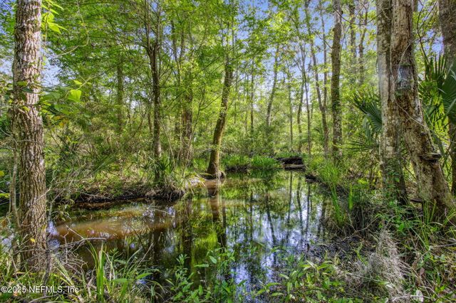 17263 BLACK COW Trail, Jacksonville, FL 32218