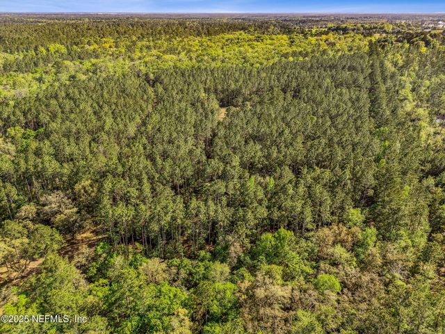 17263 BLACK COW Trail, Jacksonville, FL 32218