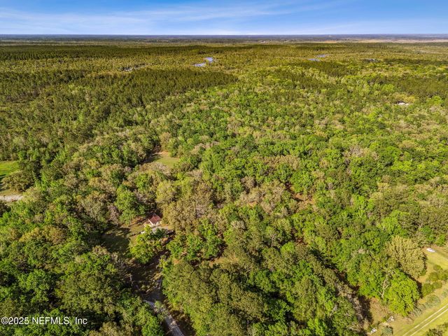 17263 BLACK COW Trail, Jacksonville, FL 32218