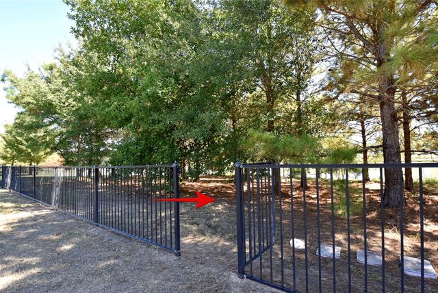 5615 Caspian Falls Lane, Fulshear, TX 77441