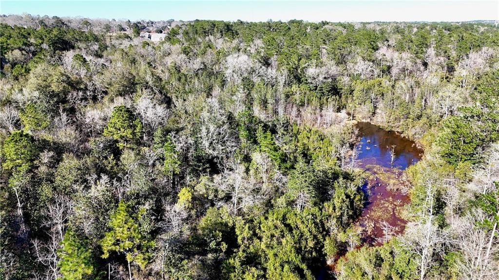 0 Satsuma Place, Semmes, AL 36575 — photo 4