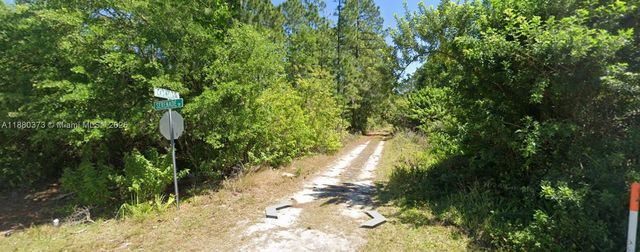 233 + 232 Caswell + Colleen Lane, Lake Placid, FL 33852