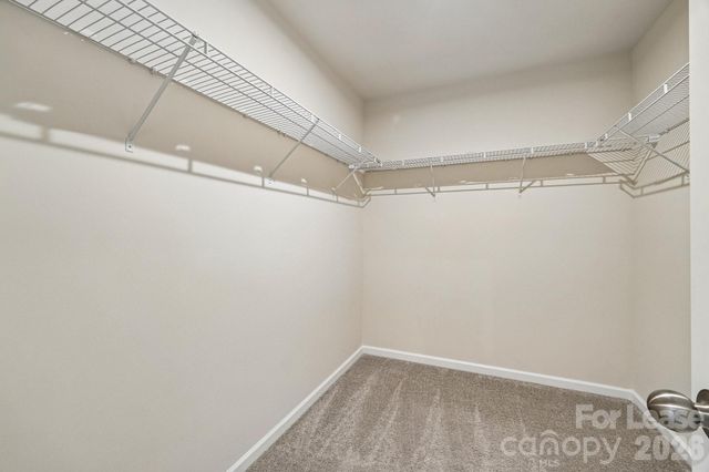15618 Little Bluestem Street, Charlotte, NC 28278