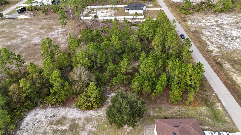 1213 Maple AVE N, LEHIGH ACRES, FL 33972 — photo 3