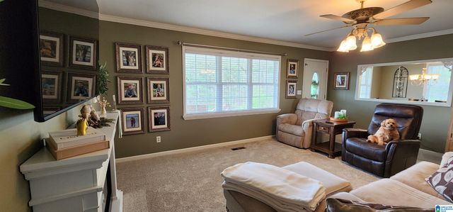 250 MARTIN DRIVE, Oneonta, AL 35121