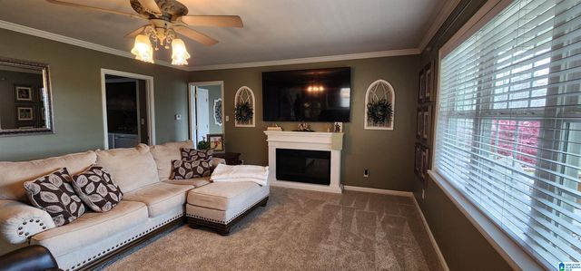 250 MARTIN DRIVE, Oneonta, AL 35121