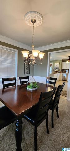 250 MARTIN DRIVE, Oneonta, AL 35121