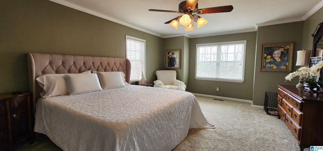 250 MARTIN DRIVE, Oneonta, AL 35121