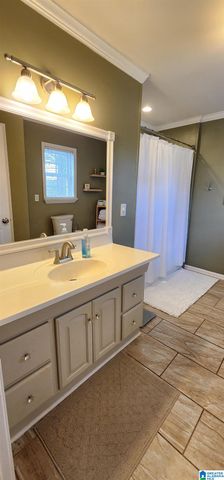 250 MARTIN DRIVE, Oneonta, AL 35121