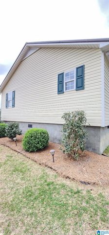 250 MARTIN DRIVE, Oneonta, AL 35121