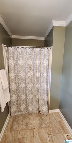 250 MARTIN DRIVE, Oneonta, AL 35121