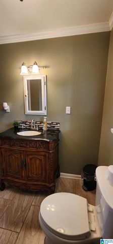 250 MARTIN DRIVE, Oneonta, AL 35121