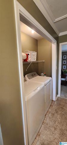 250 MARTIN DRIVE, Oneonta, AL 35121