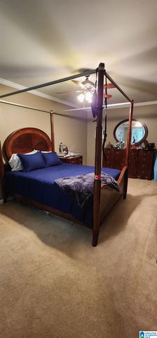 250 MARTIN DRIVE, Oneonta, AL 35121