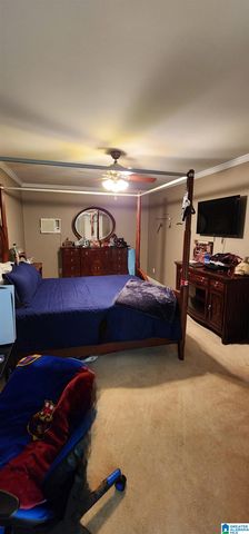 250 MARTIN DRIVE, Oneonta, AL 35121